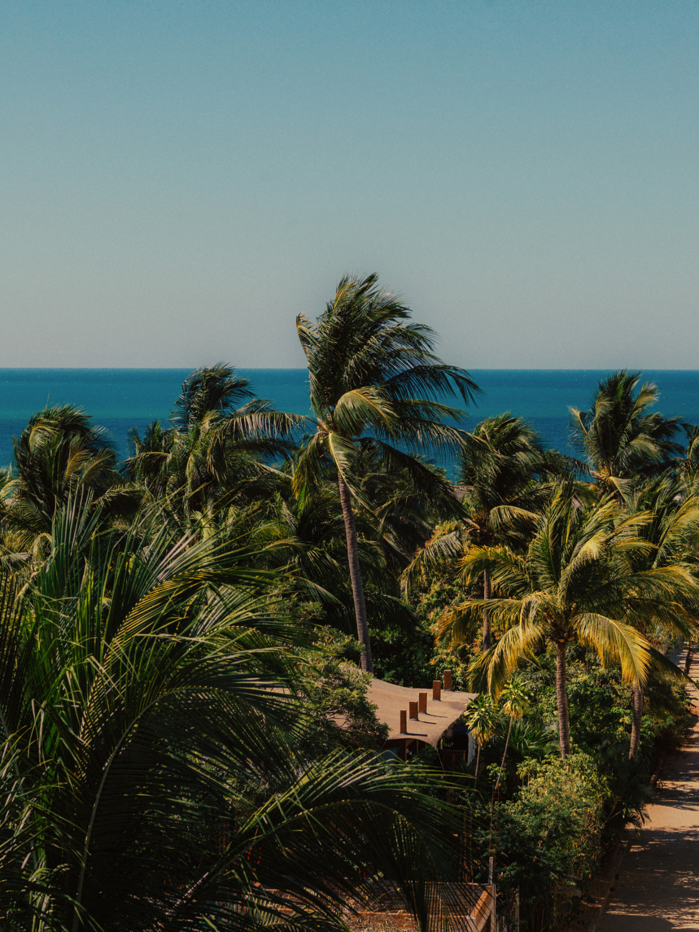 Palm trees against the Mediterranean sea on the Costa del Sol